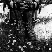 Wolves and Changelings