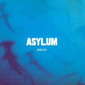 Profhet by Asylum