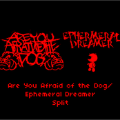 Are You Afraid Of The Dog/Ephermeral Dreamer Split