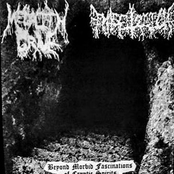 Beyond Morbid Fascinations of Cryptic Spirits