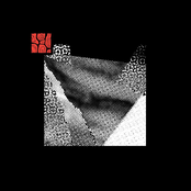 The Analog Nature Of Light