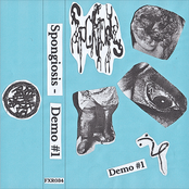 Demo #1