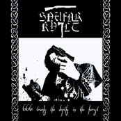 666 Tracks the Depths in the Forest