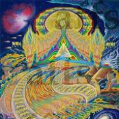 The Dream is Changing