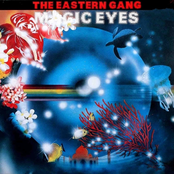 Magic Eyes