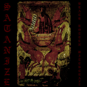 Decimation Division by Satanize
