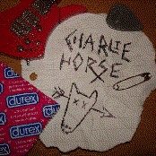 charlie horse