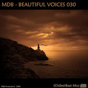 Beautiful Voices 030 (Chilled-Beat Mix)