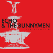 The Fountain by Echo & The Bunnymen