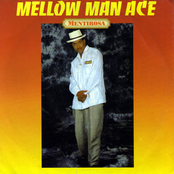 Mentirosa / Welcome To My Groove