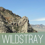 Wildstray