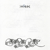 LEVIN LIAM LEAKS 2025