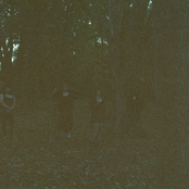 Nature Takes Its Course