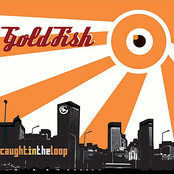 Goldfish: Caught in the loop
