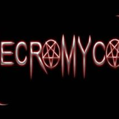 necromycon