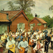 södra bergens balalaikor