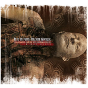 The Strange Case Of The Missing Corpse (Split)