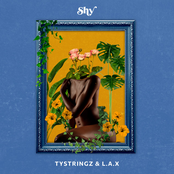 TyStringz: Shy