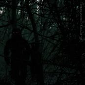 Impermanence / Cicada 3301