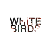 White Birds Tape