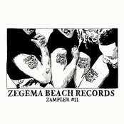 Zampler #11 - Death From Above