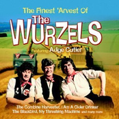 The Back Of My Old Car by The Wurzels