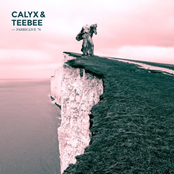 fabriclive 76: calyx & teebee