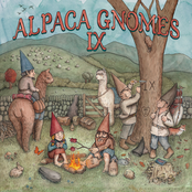 The Alpaca Gnomes: IX