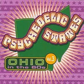 Psychedelic States: Ohio In The 60s Vol 3