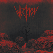 Widertod