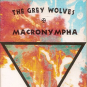 Departure by The Grey Wolves & Macronympha