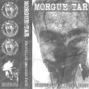 Propeller Smashed Face