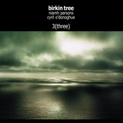 Carrickfergus by Birkin Tree