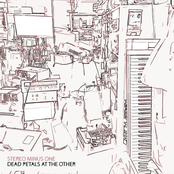 Dead Petals At The Other