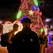 Pensamentos de Dezembro