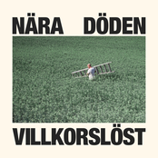 Villkorslöst