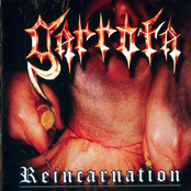 Reincarnation