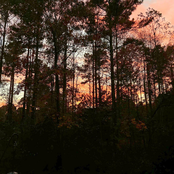 sweaters - Single