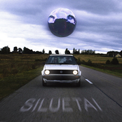 Siluetai