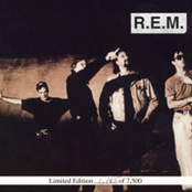 I Will Survive by R.e.m.