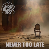 Never Too Late