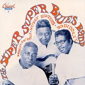 I Just Want To Make Love To You by The Super Super Blues Band