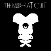 The Black and White Album