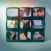 Gooseberry: Validate Me