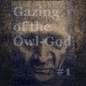 Gazing Of The Owl-God