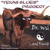 Texas Blues Project, Vol. 1