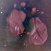 pink blobs don't belong in space