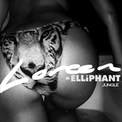 Jungle - Single