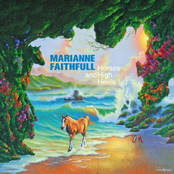 No Reason by Marianne Faithfull