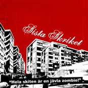 "Hela skiten är en jävla zombie!"